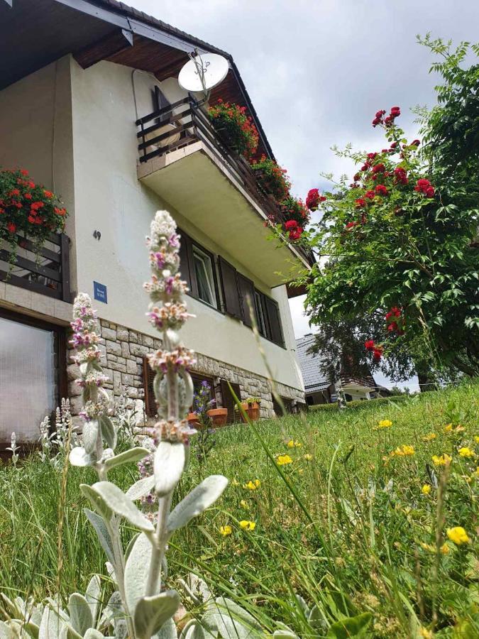 House Draga Plitvice Bed & Breakfast Plitvicka Jezera Bagian luar foto